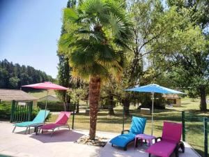 Un grupo de sillas y sombrillas junto a una palmera. en Gîte Bégonia dans un cadre idyllique, idéalement situé, en Castels