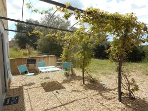 a group of chairs and a tree in a yard at appartement indépendant avec jardin in Saint-Gilles +1 photo