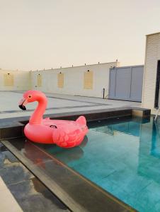 Φωτογραφία από το άλμπουμ του Airport chalet amman σε Al Qasţal