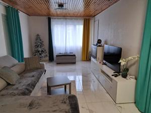 Μια τηλεόραση ή/και κέντρο ψυχαγωγίας στο Apparemment T11