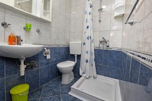 ein Badezimmer mit Toilette, Waschbecken und Dusche in der Unterkunft Apartments Dulabic in Poreč