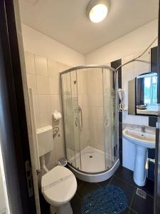a bathroom with a shower and a toilet and a sink at Lion's Hotel in Bucharest +30 photos