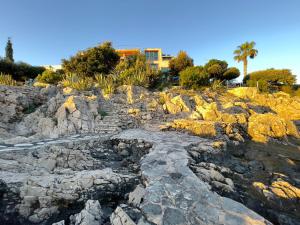 a rocky hill with trees and buildings in the background at Vila Nadja SEAFRONT in Bar