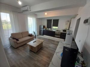 a living room with a couch and a coffee table at Twins Residence 2 APART HOTEL AP 2 2 rooms in Chiajna