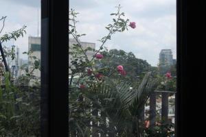 Zahrada ubytování The Bloom Pham Viet Chanh - Modern Living Space in Saigon - A Top Choice for Western Travelers