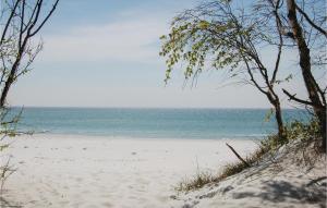 a beach with trees and the ocean in the background at 3Revle in Spidsegård