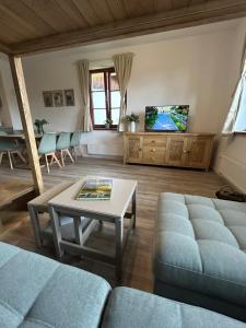 a living room with a couch and a tv at Apartmán Všichni se vlezem in Kašperské Hory