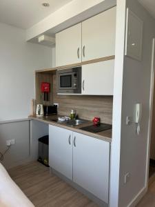 Una cocina o zona de cocina en SWUITE GALWAY