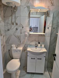 Ảnh trong thư viện ảnh của Apartman Djole ở Veliko Gradište +4 ảnh