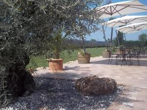 Zahrada ubytování Agriturismo Le Case Di Campagna