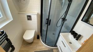 a bathroom with a shower and a toilet and a sink at Domki Puszek in Łeba