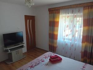 TV a/nebo společenská místnost v ubytování Casa Cristian