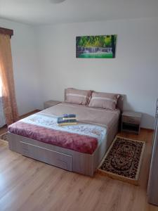 Postel nebo postele na pokoji v ubytování Casa Cristian