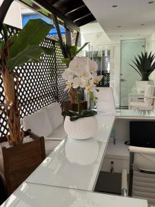 Φωτογραφία από το άλμπουμ του Amaryllis House στον Πλαταμώνα +58 φωτογραφίες