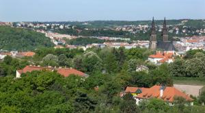 Príroda v okolí hotela