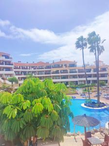 un complexe avec une piscine, des palmiers et un bâtiment dans l'établissement Lovely apartment top views, heated pool, great location, à San Miguel de Abona