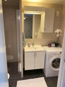 a bathroom with a washing machine and a washer at Spacious 3 Bedroom next to Thon Hotel, Storsenter Shopping, and 15 minutes to Oslo in Sandvika +38 photos