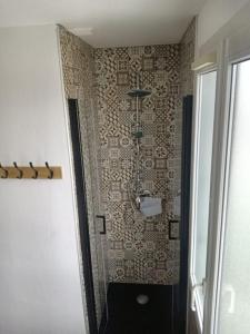 a bathroom with a toilet and a wall at Gîte Coccinelle in Saint-Aignan +24 photos