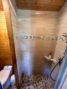Ένα μπάνιο στο Cabane en bois climatisée