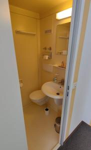a bathroom with a white toilet and a sink at Landgasthaus Römerhof in Obernburg am Main