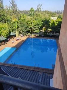Bazén v ubytování Sunstar Resort Thika nebo v jeho okolí
