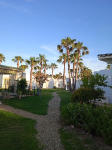 Un camino de grava en un patio con palmeras. en As055 Noa - Cosy 2 bedroom in the green oasis, en San Juan de los Terreros