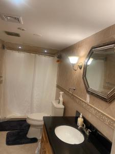 a bathroom with a sink and a toilet and a mirror at Peculiar 96 in Newark