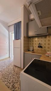 アルテミダにあるHra apartmentの白い冷蔵庫とカウンターのあるキッチン