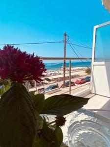 Příroda nedaleko apartmánu + 2 fotografie
