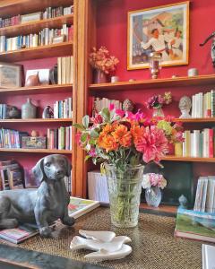 a dog sitting on a table with a vase of flowers at H&ocirc;tel La Marisa Grande Plage in Saint-Jean-de-Luz