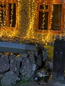 Zahrada ubytování Yan Guest House