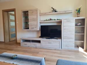 TV a/nebo společenská místnost v ubytování Apartmány Family Nová Lesná