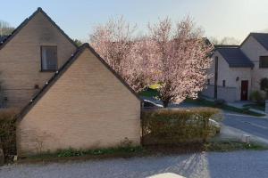 une maison en briques avec un arbre à côté d'une rue dans l'établissement A louer un appart dans une résidence calme, à Mont-Saint-Guibert