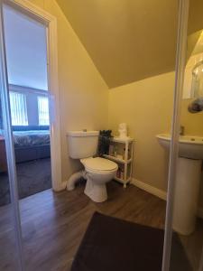 a bathroom with a toilet and a sink at Edenderry Town House in Belfast