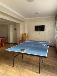 ガルニにあるHotel Garniのテレビのある部屋に卓球台がある