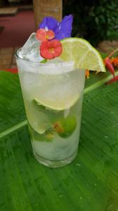 a drink with a flower on top of a leaf at Pousada Brasil - São Miguel do Gostoso in São Miguel do Gostoso