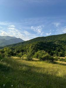 Φυσικό τοπίο κοντά σε αυτή η παραθεριστική κατοικία