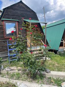 Billede fra billedgalleriet på Cottages Filippo i Mestia