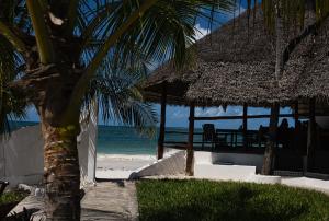 a view of the beach from a resort with a palm tree at AVO Boutique Hotel in Dikoni