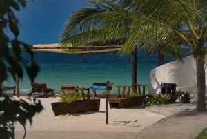 a beach with chairs and a palm tree and the ocean at AVO Boutique Hotel in Dikoni