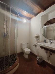 ein Badezimmer mit Dusche, Toilette und Waschbecken in der Unterkunft Corte Aranci Deluxe Apartment in Historic Center Of Lucca in Lucca + 9 Fotos