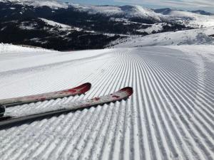 une paire de skis posée sur une pente enneigée dans l'établissement Design-Apartment Katschi - Entspannung auf 1641m Höhe, à Katschberghöhe 25 autres photos
