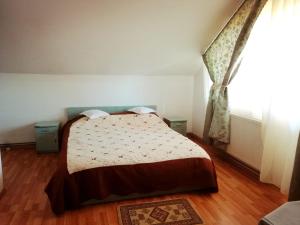 Afbeelding uit fotogalerij van PENSIUNEA Daria in Săsar