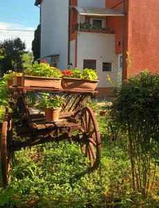 Afbeelding uit fotogalerij van PENSIUNEA Daria in Săsar +11 foto's