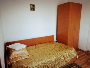 Afbeelding uit fotogalerij van PENSIUNEA Daria in Săsar