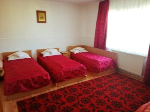 Afbeelding uit fotogalerij van PENSIUNEA Daria in Săsar