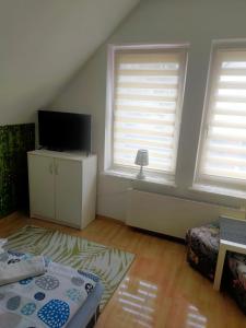 Televízia a/alebo spoločenská miestnosť v ubytovaní Hostel Madeira