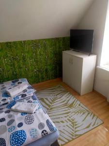 Televízia a/alebo spoločenská miestnosť v ubytovaní Hostel Madeira