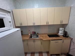 Kuchyň nebo kuchyňský kout v ubytování Alutaguse Tervisespordikeskuse Kämpingud