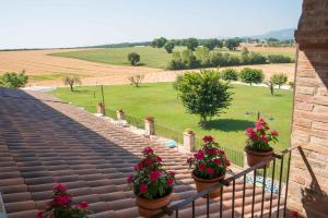 Zahrada ubytování Agriturismo Il Tiro